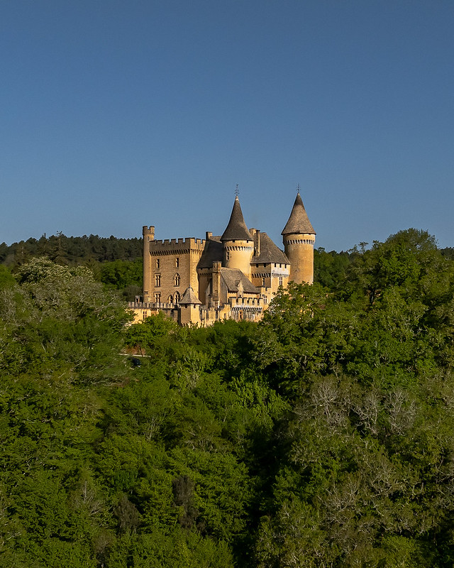 Château de Puymartin